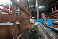 Dư nợ cho vay ủy thác đạt hơn 5.616 tỷ đồng