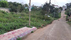 Tây Nguyên sốt đất bất thường