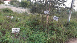 Sốt đất ở Đắk Lắk chủ yếu do "cò đất" đẩy giá