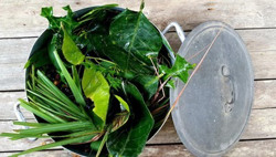 F0 có nên xông lá trực tiếp?