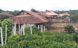 Làng triệu phú giữa đại ngàn