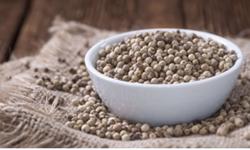 Giá tiêu hôm nay 18/1: Tiếp tục tăng mạnh 1.500 đ/kg