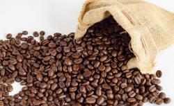 Xuất khẩu cà phê quay trở lại mốc 3 tỷ USD