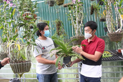 Làm giàu từ đam mê hoa lan