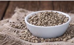 Giá tiêu hôm nay 24/1: Dự báo sản lượng hồ tiêu 2022 giảm