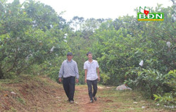 Khi nông dân thành phố làm nông nghiệp