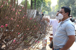 Nhộn nhịp chợ hoa Tết