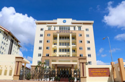 Phát huy vai trò trụ cột an sinh