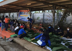 Tập trung cao nhất cho công tác phòng, chống dịch đặc biệt là giai đoạn trước, trong và sau Tết Nguyên đán Nhâm Dần