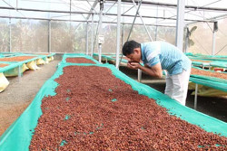 “Trụ đỡ” của nền kinh tế trong đại dịch