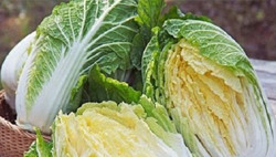 Cải thảo, thực phẩm tốt cho sức khỏe