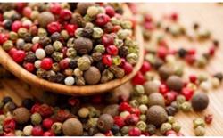 Giá tiêu hôm nay 4/1: Tăng nhẹ 500 đ/kg ở vài nơi