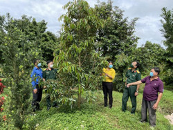 Cùng nông dân vượt qua đại dịch