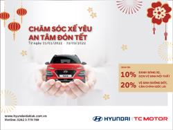 Chăm sóc xế yêu - An toàn đón tết