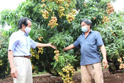 Nông nghiệp chính xác - tầm nhìn mới cho tương lai