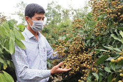 Quả ngọt trên đất cằn