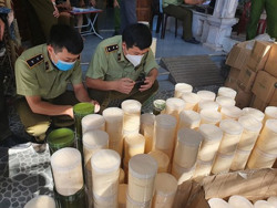 Chặn mỹ phẩm giả