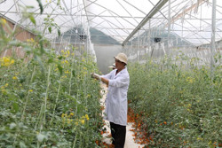 Nông nghiệp thông minh: Chìa khóa để thích ứng với biến đổi khí hậu