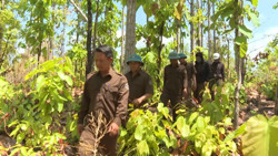 Giữ rừng mùa khô