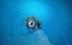 Sét đánh thủng vỏ máy bay tại Tân Sơn Nhất, 2 người bị thương