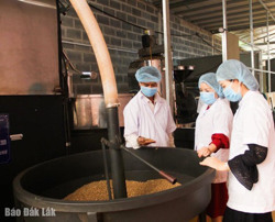 Đắk Lắk có hơn 100 doanh nghiệp xuất khẩu