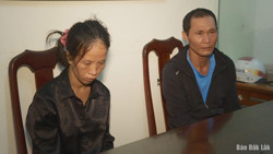 Bắt giữ hai đối tượng chuyên trộm cắp tài sản trong xe ô tô