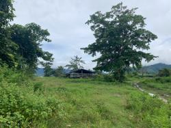 Khu BTTN Ea Sô lên tiếng về trang trại chăn nuôi của nguyên Bí thư tỉnh ủy Đắk Lắk