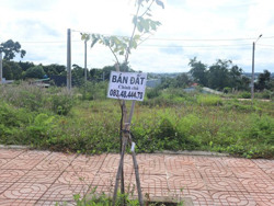 Cần chấn chỉnh kịp thời tình trạng “cò đất” gây nhiễu thông tin hoạt động đấu giá