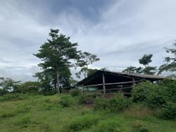 Trong tuần này, nguyên Bí thư Tỉnh ủy Đắk Lắk sẽ tự tháo dỡ chuồng trại, di dời ra khỏi rừng