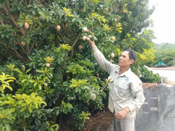 Tay trắng gây dựng mô hình đa cây, đa con