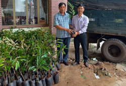 Một cán bộ Huyện ủy Lắk tặng 1.000 cây giống sầu riêng cho người dân 2 xã Buôn Tría và Buôn Triết
