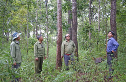 Công ty Thuần Mẫn trước nguy cơ “tê liệt” hoàn toàn