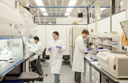 GSK đồng hành nâng cao năng lực điều trị và kiểm soát hen phế quản