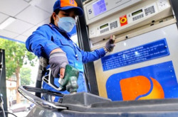 Nhiều doanh nghiệp không đảm bảo dự trữ, nhập khẩu xăng dầu