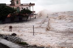 Biển Đông lại có áp thấp nhiệt đới, các tỉnh ven biển chủ động ứng phó