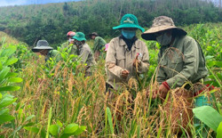 Giàu nghèo đâu cứ ở tài nguyên