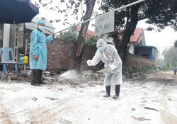 Chặn nguồn lây nhiễm cúm gia cầm