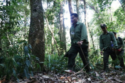 Đừng để lãng phí tài nguyên rừng