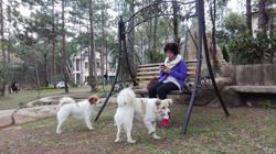 Trả giá đắt vì chủ quan với bệnh dại