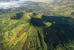 Mùa hoa vẫy gọi