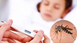 Bệnh sốt xuất huyết: Không chủ quan, tự điều trị tại nhà