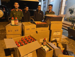 Công an huyện Ea H’leo: Bắt quả tang 2 đối tượng mua bán thuốc bảo vệ thực vật không rõ nguồn gốc xuất xứ