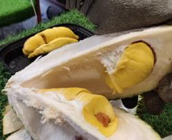 Giá sầu riêng cao ngất ngưởng dù xuất sang Trung Quốc chưa bao nhiêu