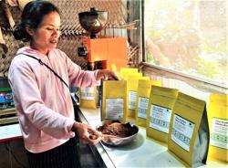 Người K’Ho làm cà phê sạch