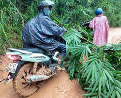 Những giáo viên vượt khó bám trường