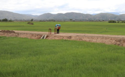 Huyện Lắk được chuyển đổi gần 200 ha đất nông nghiệp sang đất phi nông nghiệp trong năm 2022