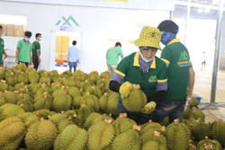 Ba bước định vị đô thị nông sản