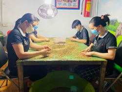 “Gói” nắng gió đại ngàn vào ly cà phê