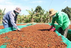 Hỗ trợ pháp lý - sự trợ lực cho doanh nghiệp nhỏ và vừa