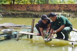 Bộ đội biên phòng giúp dân nuôi cá thát lát